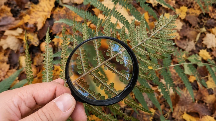 Uczniowie podczas obserwacji w terenie